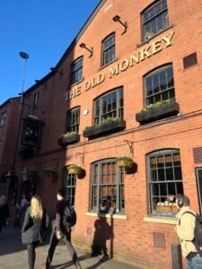 The Old Monkey